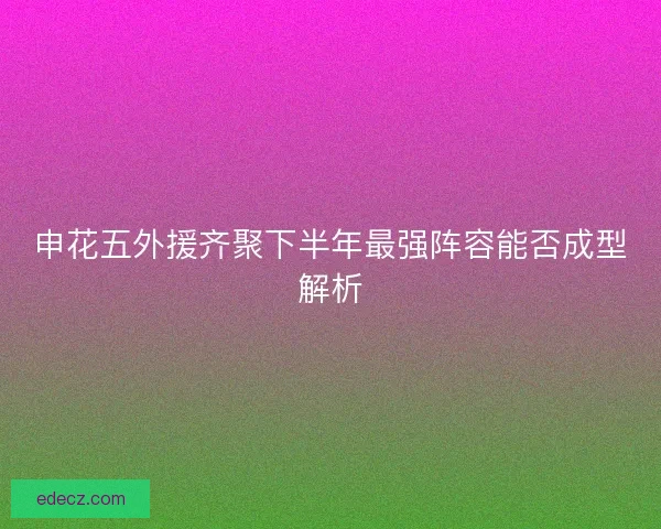 申花五外援齐聚下半年最强阵容能否成型解析